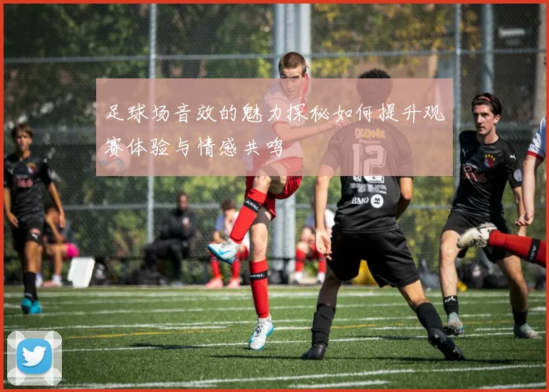 足球场音效的魅力探秘如何提升观赛体验与情感共鸣