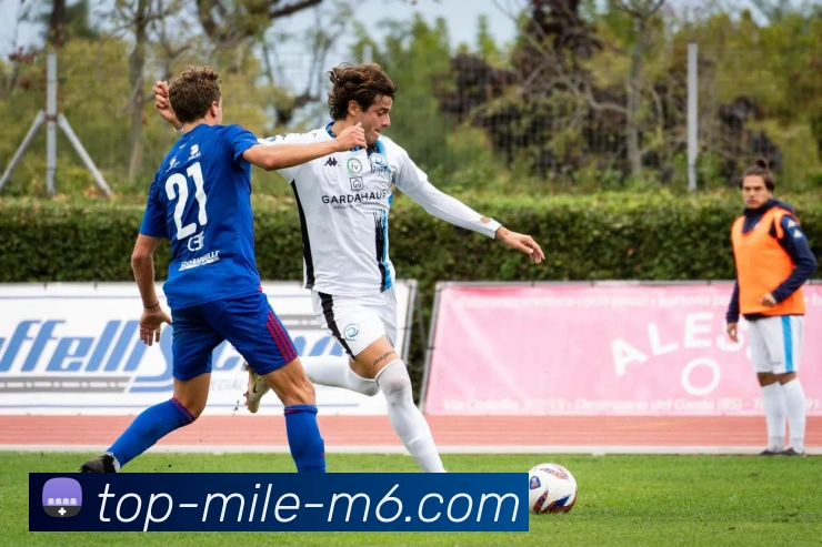 米乐体育官网平台生态图